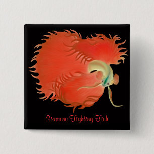 Badge Carré 5 Cm Pin de combat de poissons de Betta Splendens