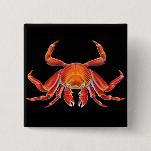 Badge Carré 5 Cm Pin de crabe de Lightfoot de sortie