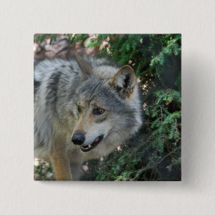 Badge Carré 5 Cm Pin de égrappage de loup