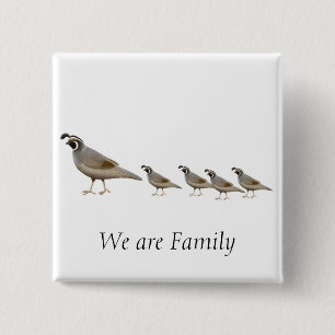 Badge Carré 5 Cm Pin de famille de cailles