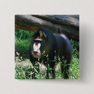 Badge Carré 5 Cm Pin de Mandrill
