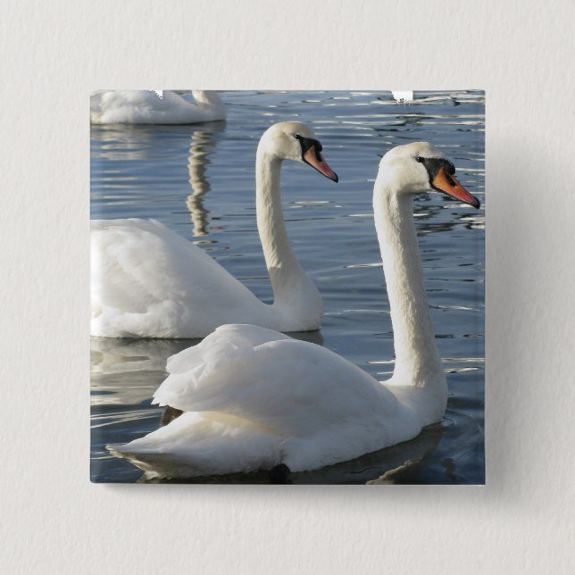 Badge Carré 5 Cm Pin de réflexions de cygne (Devant)