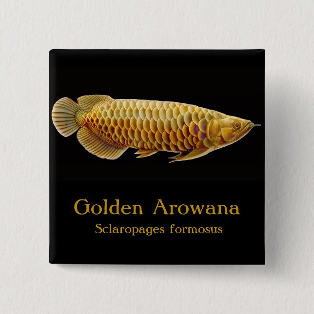 Badge Carré 5 Cm Pin d'or de poissons d'Arowana (Devant)
