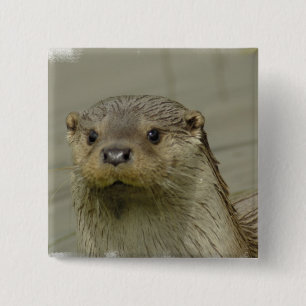 Badge Carré 5 Cm Pin géant de loutre de rivière