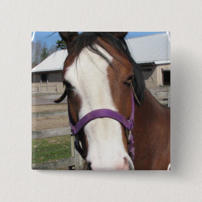 Badge Carré 5 Cm Pin quart curieux de carré de cheval (Devant)