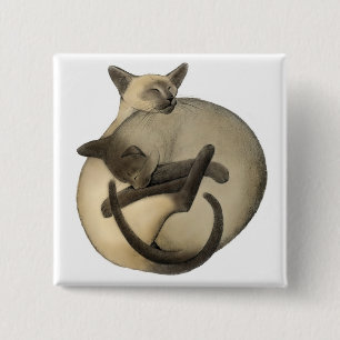 Badge Carré 5 Cm Pin siamois somnolent
