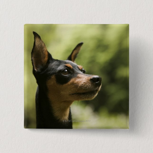 Badge Carré 5 Cm Pinseur miniature (broche à broches) 2 (Devant)