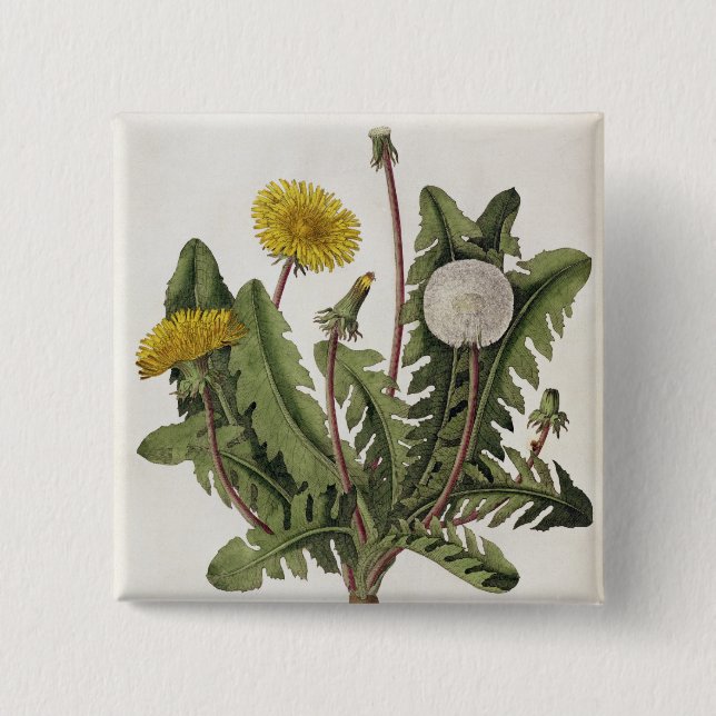 Badge Carré 5 Cm Pissenlit (gravure de couleur) (Devant)