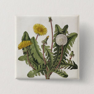 Badge Carré 5 Cm Pissenlit (gravure de couleur)