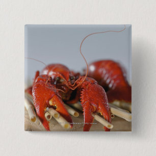Badge Carré 5 Cm Plan rapproché d'un crabe sur des bâtons
