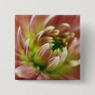 Badge Carré 5 Cm Plan rapproché d'une fleur