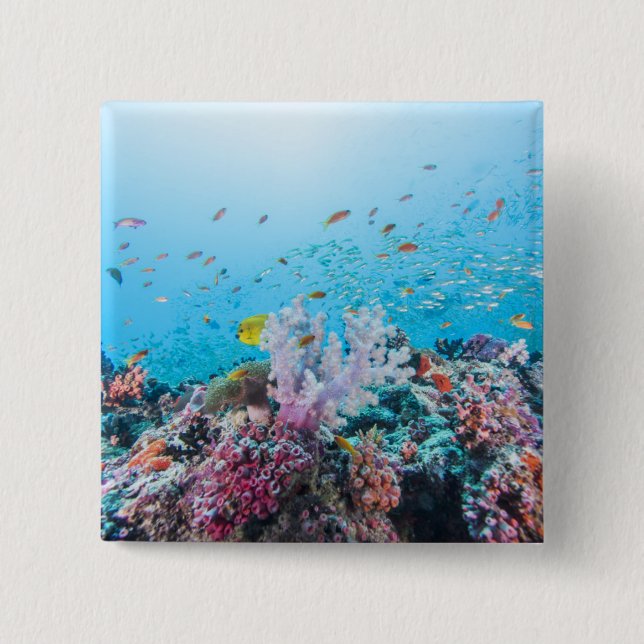 Badge Carré 5 Cm Plongée à l'air avec le récif et le corail colorés (Devant)