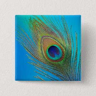 Badge Carré 5 Cm Plume de la queue de paon