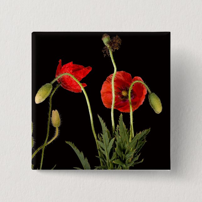 Badge Carré 5 Cm Poppies Rouges Vibrantes Sur Noir (Devant)