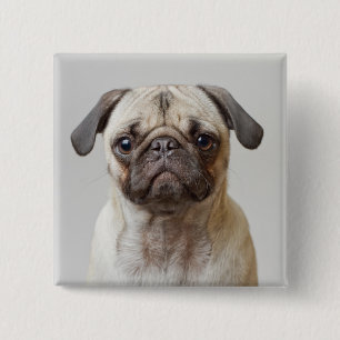 Badge Carré 5 Cm Portrait carlin