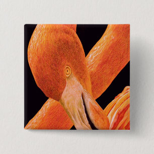 Badge Carré 5 Cm Portrait de Flamant rose