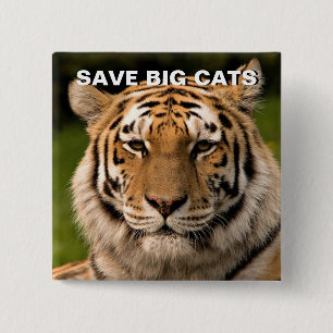 Badge Carré 5 Cm Portrait de Sumatran Tiger