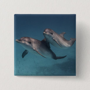 Badge Carré 5 Cm Pose espiègle