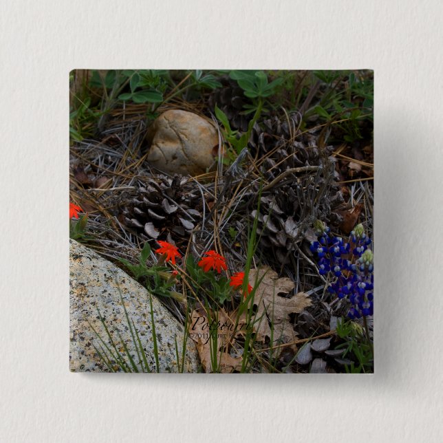 Badge Carré 5 Cm Potpourri (Devant)