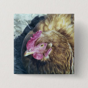 BADGE CARRÉ 5 CM POULET