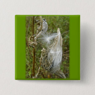 Badge Carré 5 Cm Produits de coordination des semences de Milkweed
