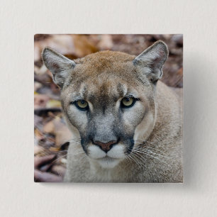 Badge Carré 5 Cm Puma, lion de montagne, panthère de Floride, Puma