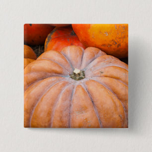 Badge Carré 5 Cm Pumpkin Season