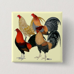 Badge Carré 5 Cm Quatre Gamecocks