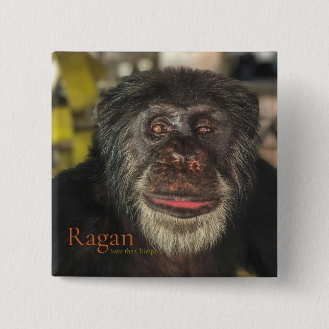 Badge Carré 5 Cm Ragan, sauvez les mimps (Devant)