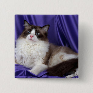 Badge Carré 5 Cm Ragdoll, joint bicolore