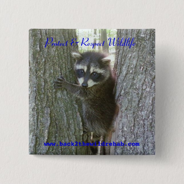 Badge Carré 5 Cm Raton laveur Buttoon (Devant)