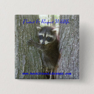 Badge Carré 5 Cm Raton laveur Buttoon