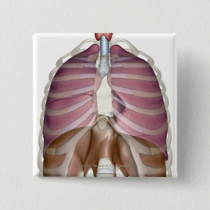 Badge Carré 5 Cm rendu 3d de l'appareil respiratoire