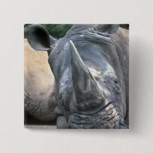Badge Carré 5 Cm Rhinocéros blanc