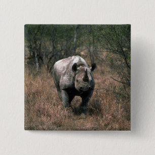 Badge Carré 5 Cm Rhinocéros noir