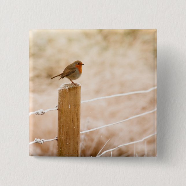 Badge Carré 5 Cm Robin d'hiver Redsein (Devant)