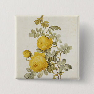 Badge Carré 5 Cm Rosa Sulfurea des 'roses de Les