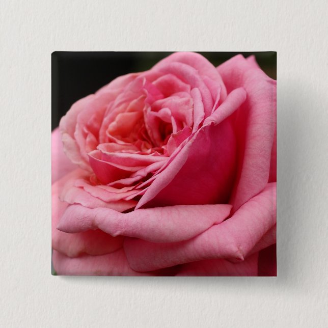 Badge Carré 5 Cm Rose rose I Photographie florale jolie (Devant)