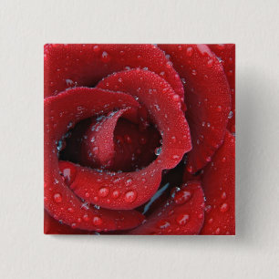Badge Carré 5 Cm Rose rouge couverte de rosée décorant un lieu de s