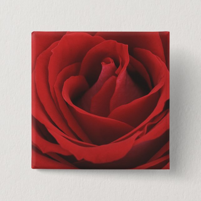 Badge Carré 5 Cm Rose rouge de floraison (Devant)