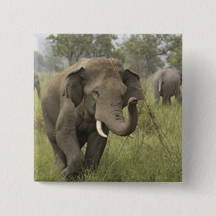 Badge Carré 5 Cm Salutation de l'éléphant d'Asie indien