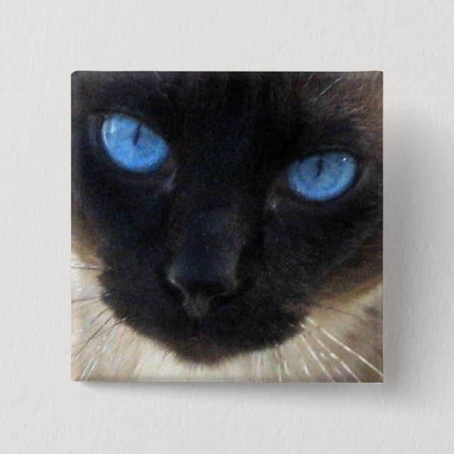 Badge Carré 5 Cm Sam le chat siamois (Devant)