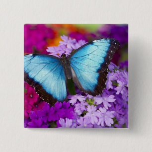 Badge Carré 5 Cm Sammamish Washington Papillon Tropical