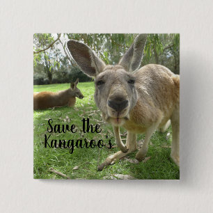 Badge Carré 5 Cm Sauvez les Kangourous