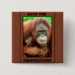 Badge Carré 5 Cm Sauvez les Orangutans