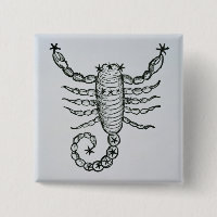 Scorpion (le scorpion) une illustration du 'P