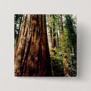 Badge Carré 5 Cm Séquoias Yosemite