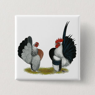 Badge Carré 5 Cm Serama Bantams