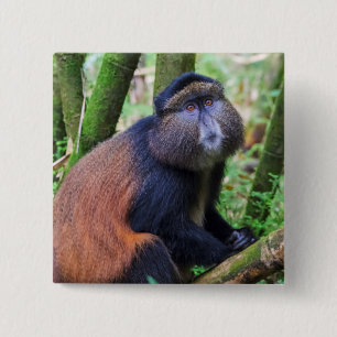 Badge Carré 5 Cm Singe doré, Rwanda