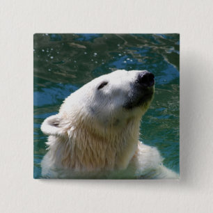 Badge Carré 5 Cm Sourire d'ours blancs